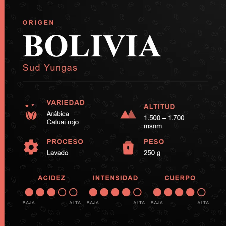 Ficha técnica Astrognomo Bolivia Sud Yungas 250g
